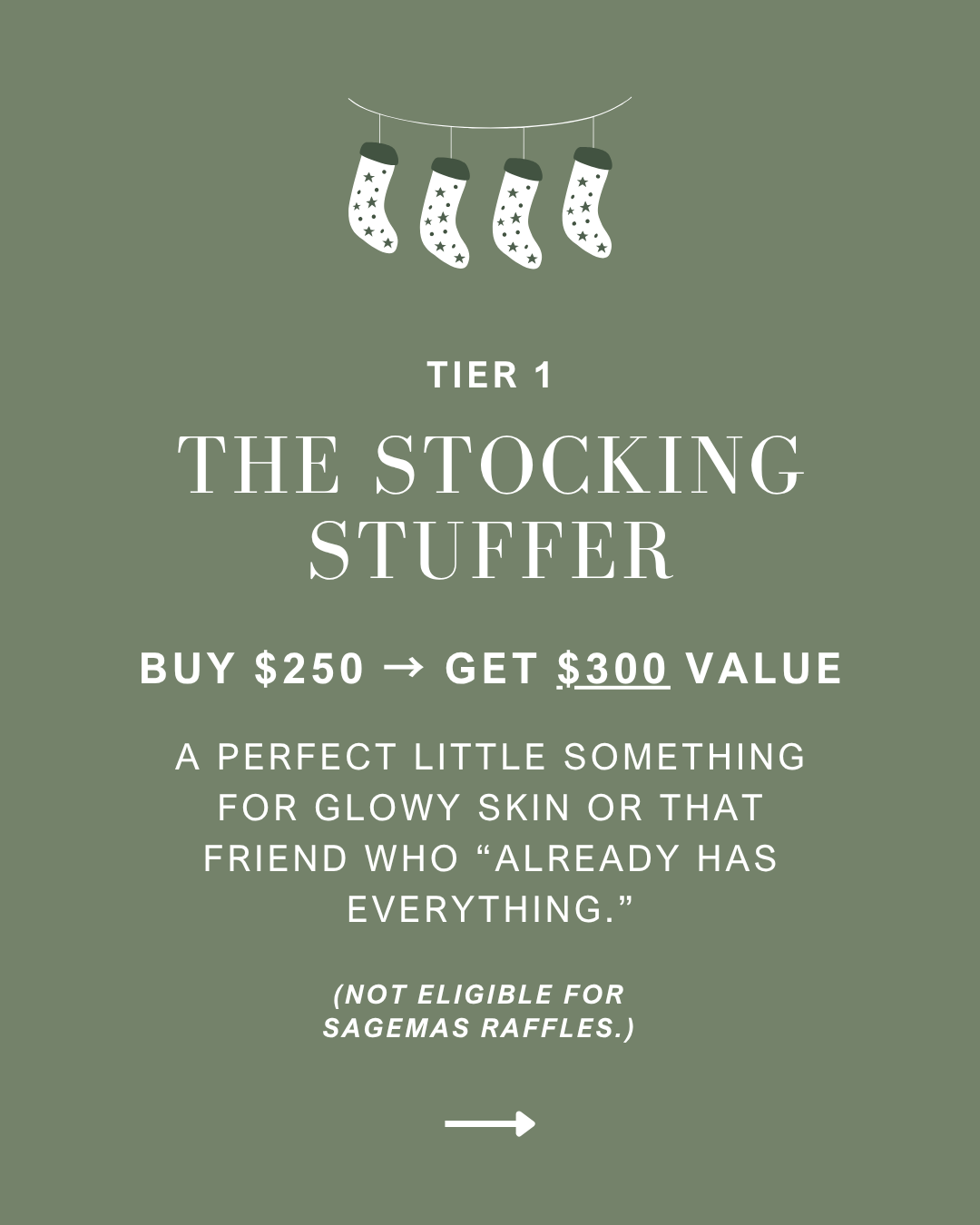 Tier 1: The Stocking Stuffer. Buy $250, get $300 value.