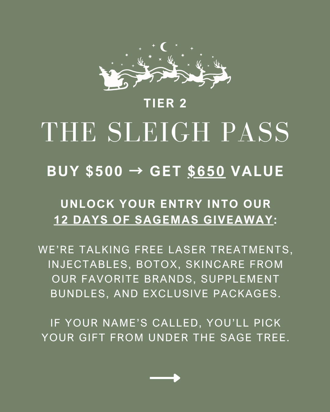 Tier 2: The Sleigh Pass. Buy $500 - get $650 value.