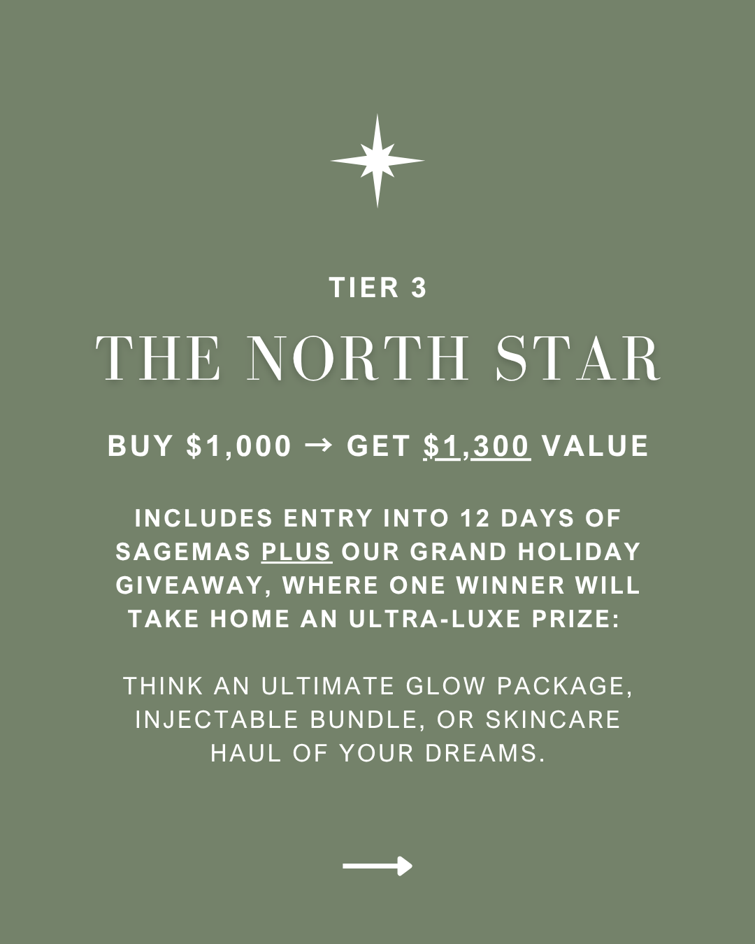 Tier 3: The North Star. Buy $1,000 - get $1,300 value.