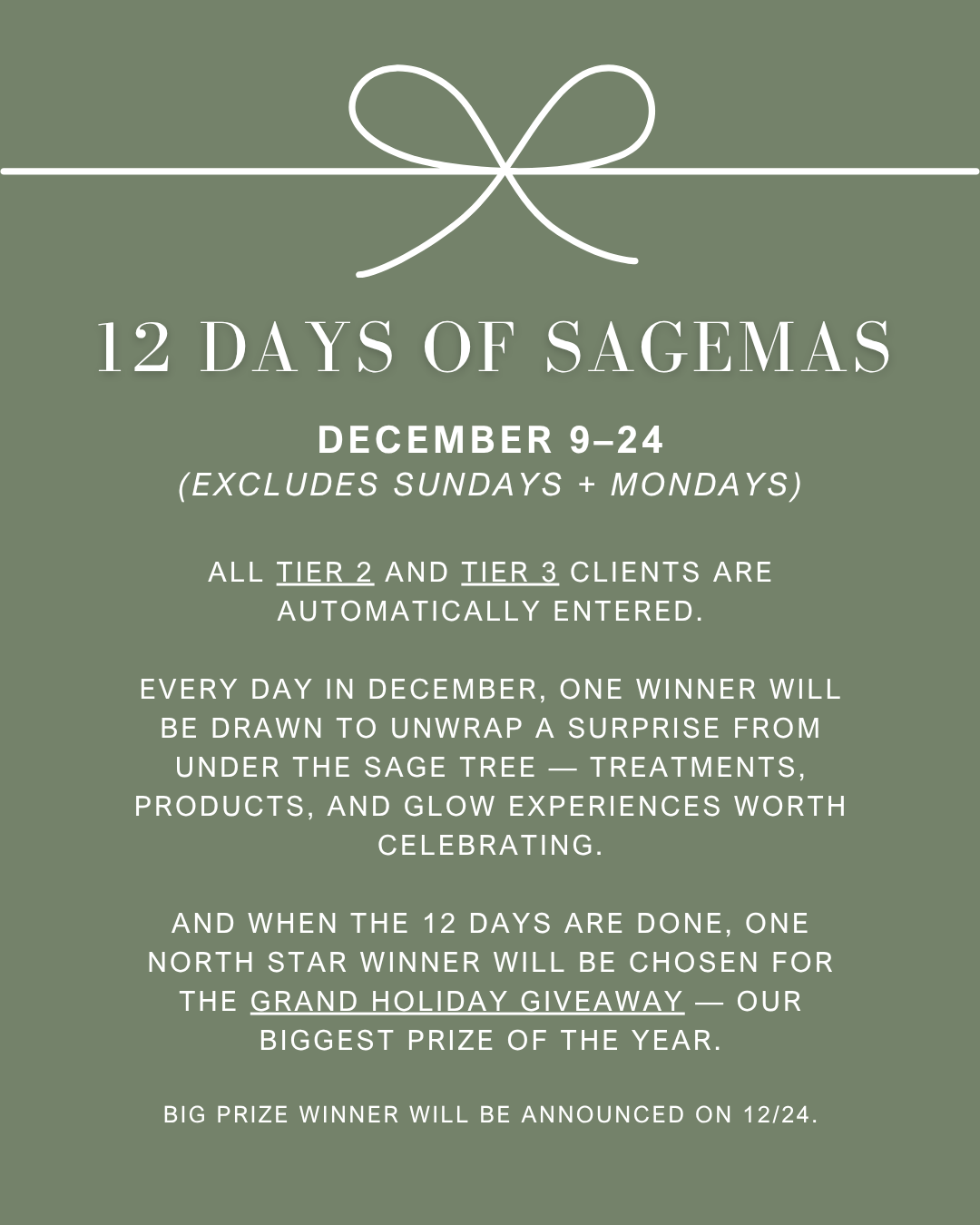 12 Days of Sagemas promo. Please call us for more information.